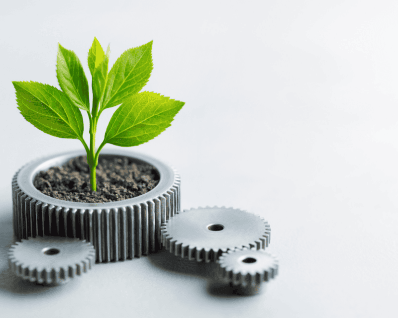 sustainability report
