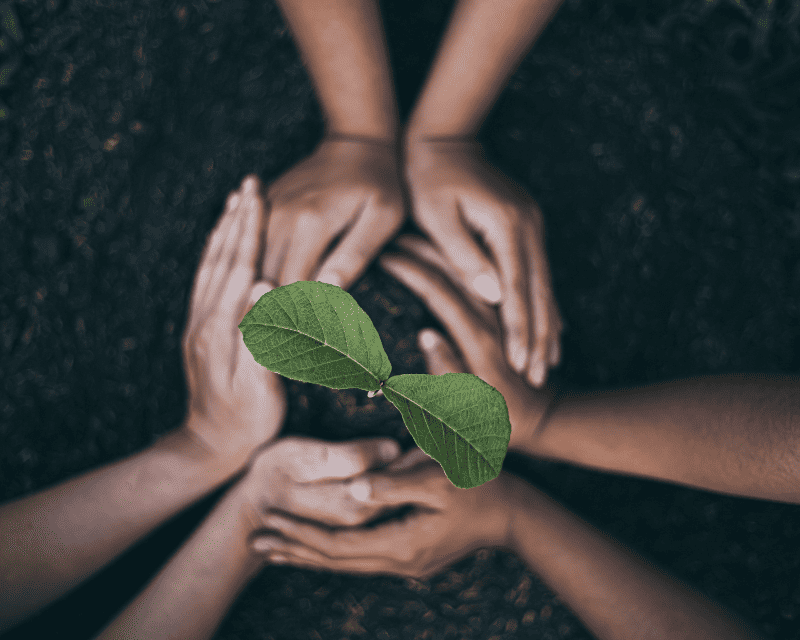 associazioni sostenibili italiane