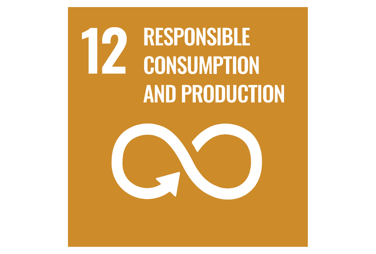 obiettivo 12 agenda 2030