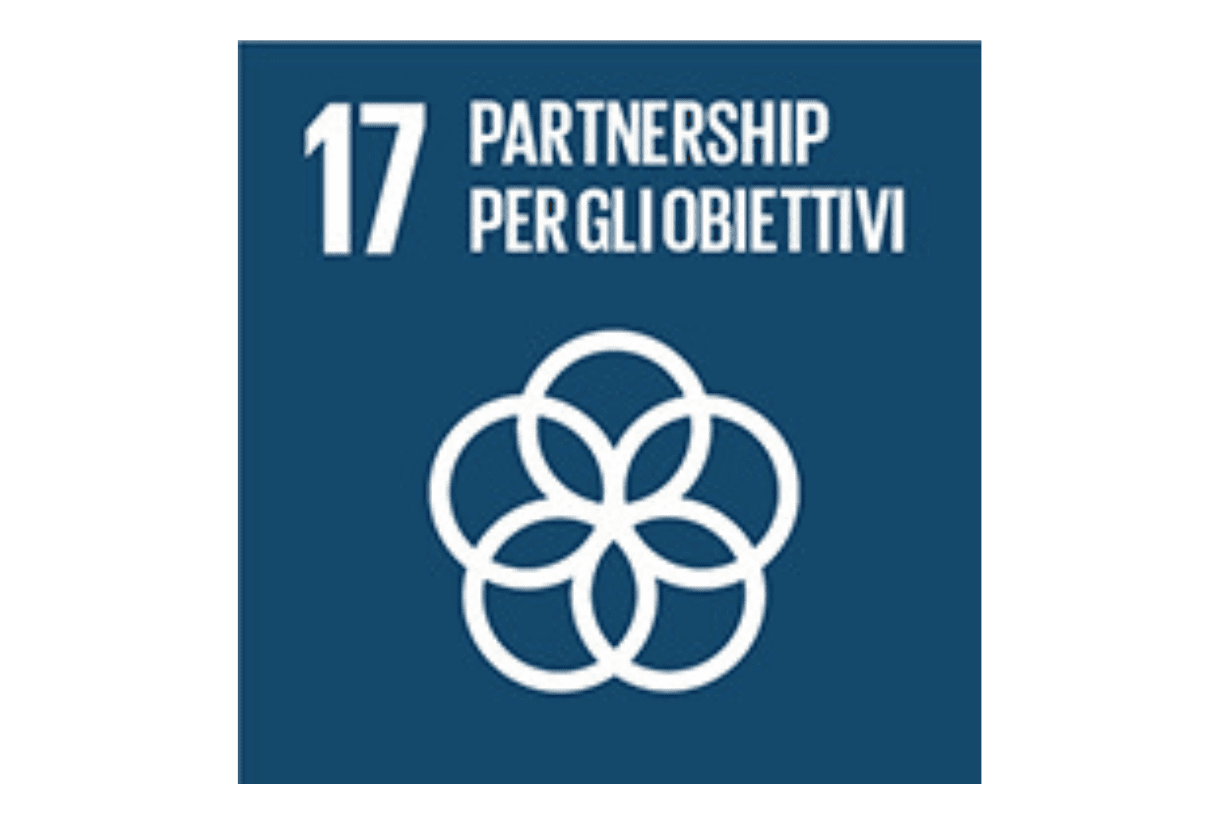 obiettivo 17 agenda 2030
