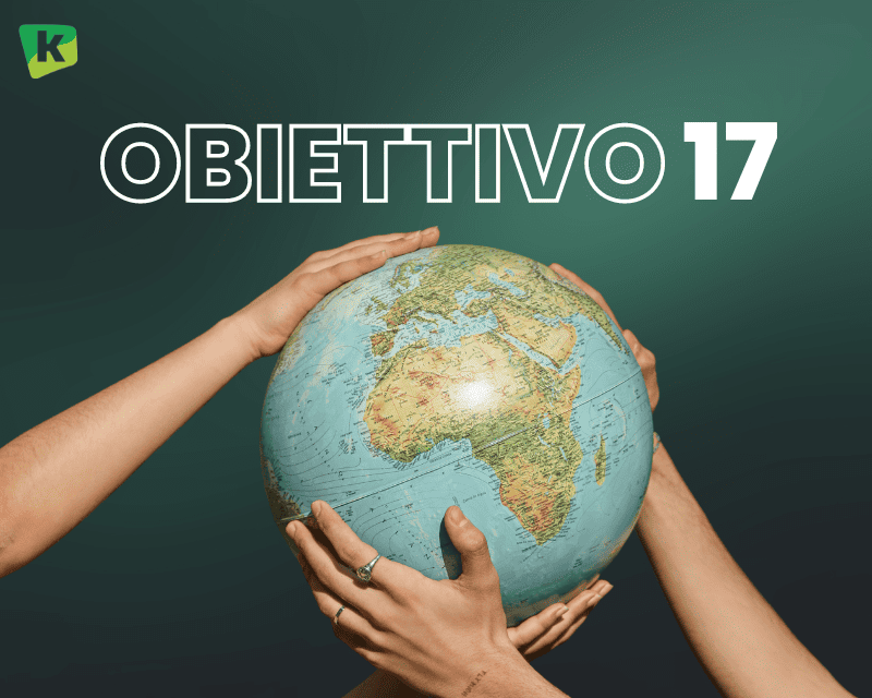 Obiettivo 17 - cambiamento climatico
